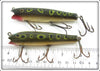 Creek Chub Frog Spot Darter Pair