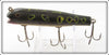 Creek Chub Frog Spot Darter