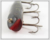 Creek Chub Frog Spot Darter