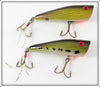 Allen Lures Baby Bass & Baby Shad Lynyrd Skynyrd Spitter Lure Pair