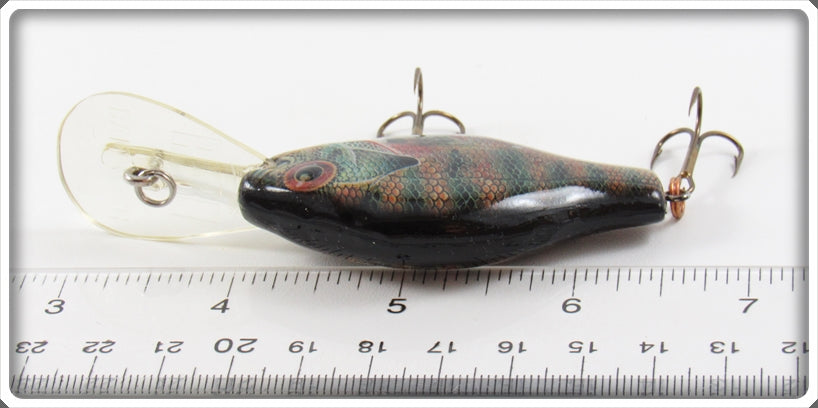 Vintage Rebel Baitfish Series 2.5 Long Bluegill Fishing Lure A Vintage Rebel Baitfish Series 2.5 Long Bluegill Fishing Lure A