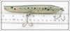 Cordell Rainbow Trout Pencil Popper