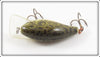 Rebel Naturalized Frog Wee R