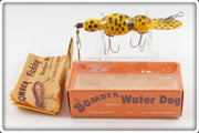 Vintage Bomber Yellow Coachdog Water Dog Lure In Box