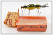 Vintage Bomber Frog Spot Water Dog Lure In Box