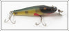 Creek Chub Perch Baby Pikie In Box