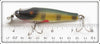 Creek Chub Perch Baby Pikie In Box