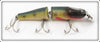 Vintage Creek Chub Perch Jointed Pikie Lure