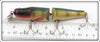 Creek Chub Perch Jointed Pikie