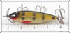 Creek Chub Perch Injured Minnow