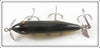 Creek Chub Perch Injured Minnow