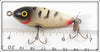 Unknown Coachdog Surface Minnow