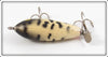 Unknown Coachdog Surface Minnow