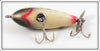 Unknown Coachdog Surface Minnow