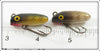 Paw Paw Perch & Pikie Scale Trout Oreno Pair