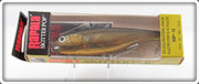 Rapala Stainless Steel Gold Mullet Inox Skitter Pop SSP-12 Lure In Box