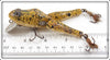 Paw Paw Yellow Splatter Wotta Frog