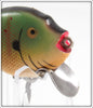 Heddon Sunfish Punkinseed Spook 9630 SUN