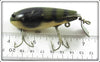 Creek Chub Natural Crab Crawdad