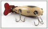 Creek Chub Natural Crab Crawdad