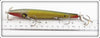 Smithwick Yellow Scale 5 1/2" Devils Horse