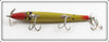 Smithwick Yellow Scale 5 1/2" Devils Horse