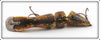Heddon Pike Scale Gamefisher