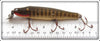Creek Chub Pikie Scale Pikie