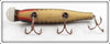 Creek Chub Pikie Scale Pikie