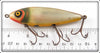 Barracuda Bait Co Florida Shiner