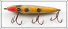Barracuda Bait Co Florida Shiner