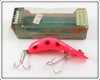 Vintage Heddon Spotted Redhorse Magnum Tadpolly Lure In Box