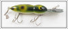 Whopper Stopper Frog Spot Hellbender In Box
