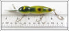 Whopper Stopper Frog Spot Hellbender In Box