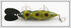 Whopper Stopper Frog Spot Hellbender In Box