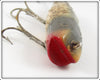 Creek Chub Silver Flash Darter