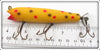 Creek Chub Yellow Spotted Spinnered Darter