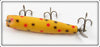 Creek Chub Yellow Spotted Spinnered Darter