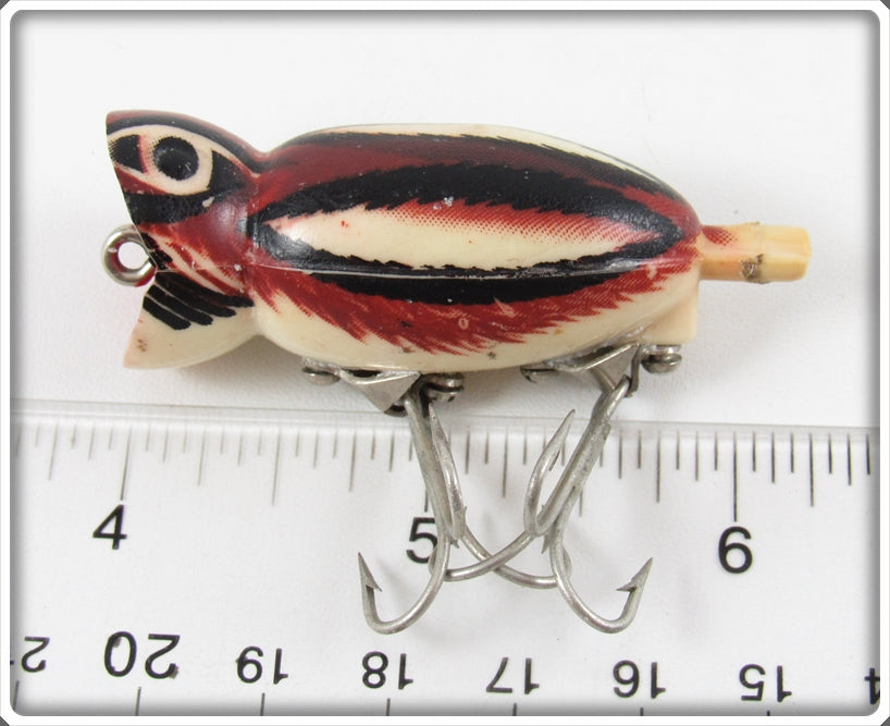 chipmunk fishing lure Vintage Arbogast Seein's Believin' Chipmunk Hula Popper Lure For Sale