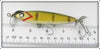 Paw Paw Perch Aristocrat Shiner