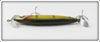 Paw Paw Perch Aristocrat Shiner