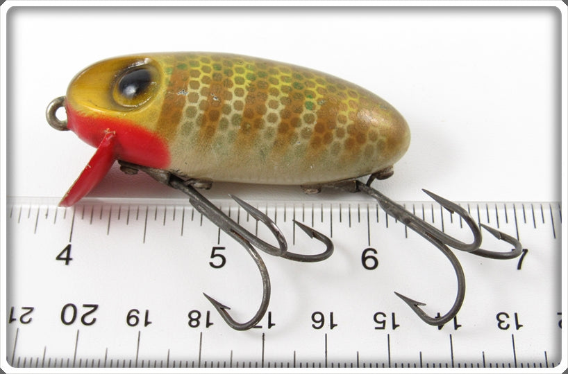 Vintage Gold Eye 2-3/4 Inch Plastic Wright & McGill Bug-A-Boo Lure Lot  Q-707 