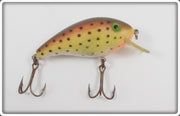 Rebel Shallow R Rainbow Trout