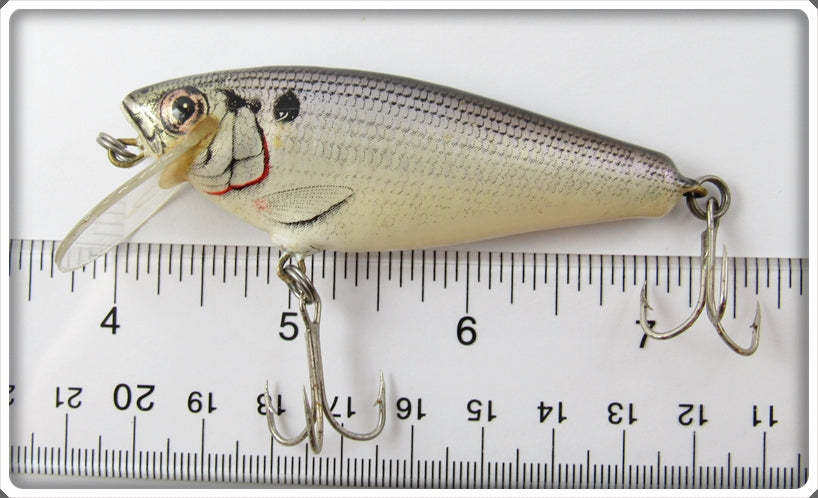 Vintage Bagley Shad Small Fry Shad Lure For Sale