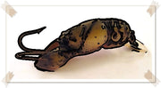 Rebel Lures For Sale