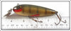 Creek Chub Perch Wiggler