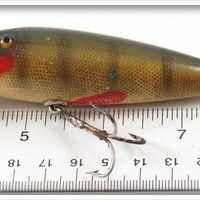 Creek Chub Perch Wiggler