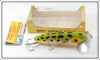 Vintage Fred Arbogast Frog Wooden Musky Jitterbug Lure In Box