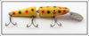Vintage Creek Chub Yellow Spotted Jointed Pikie Lure 2614 DD