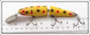 Creek Chub Yellow Spotted Jointed Pikie 2614 DD